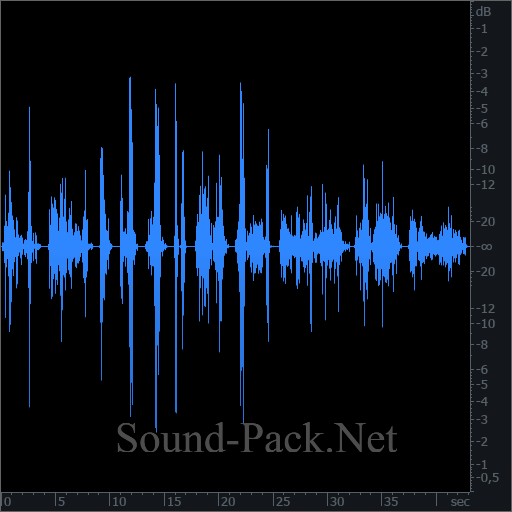 waveform