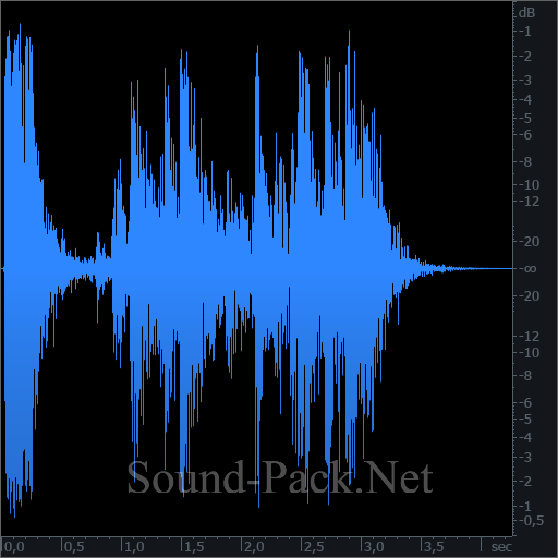 waveform