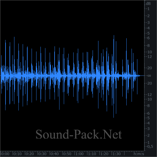 waveform