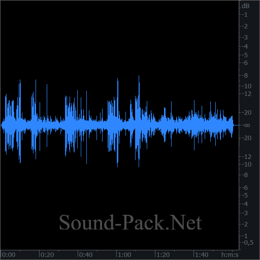 waveform