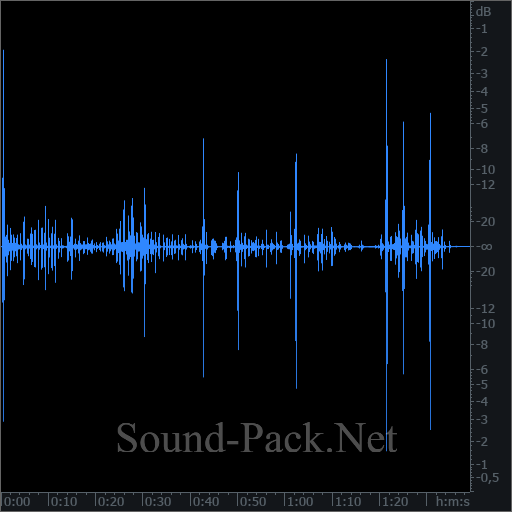 waveform