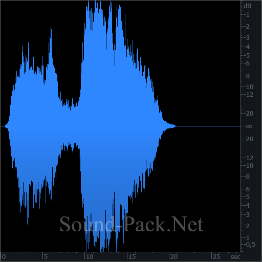 waveform