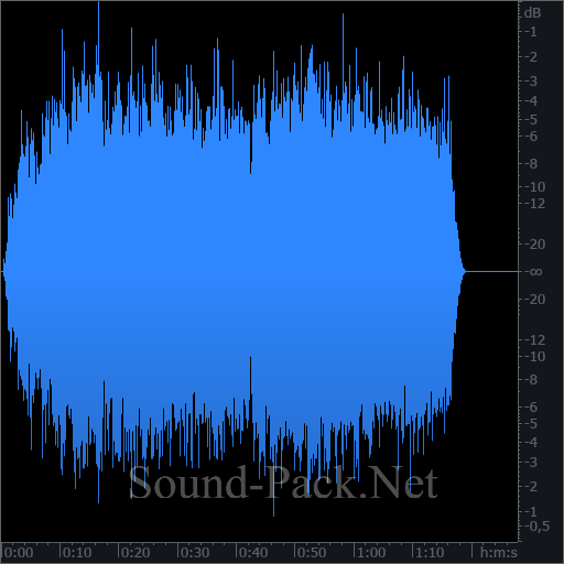 waveform