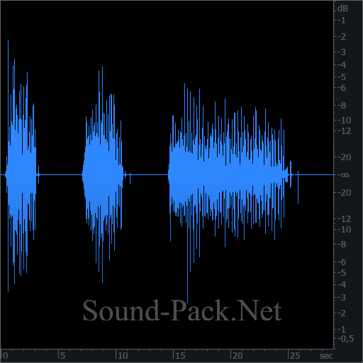 waveform