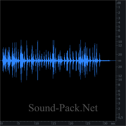 waveform