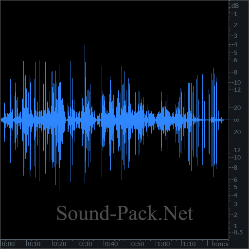 waveform