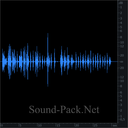 waveform