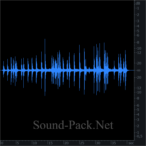 waveform