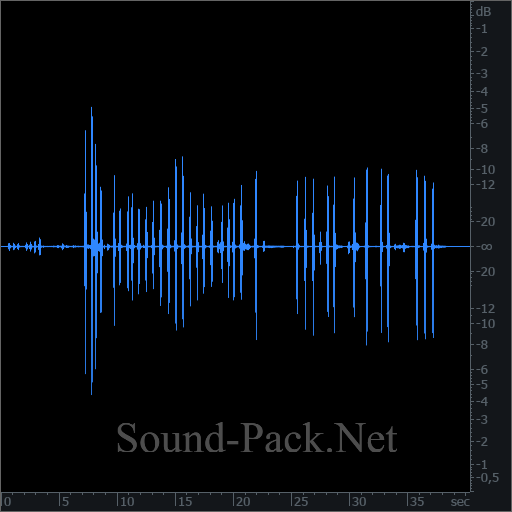 waveform