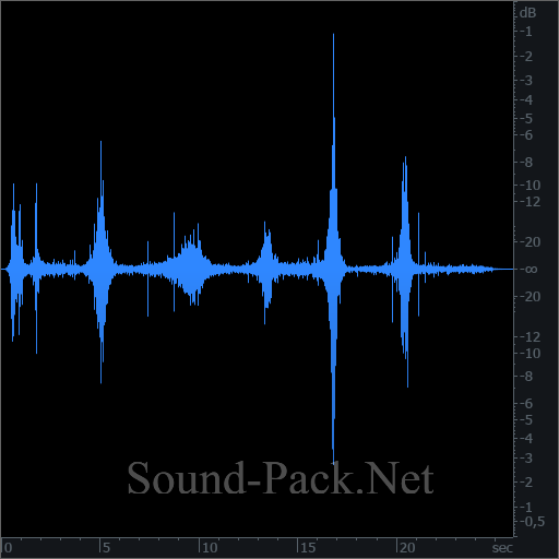 waveform