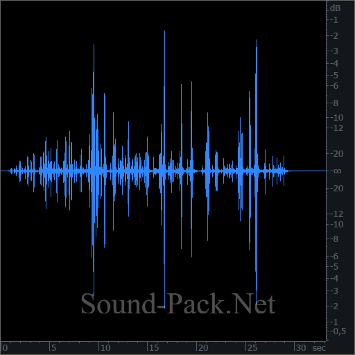 waveform