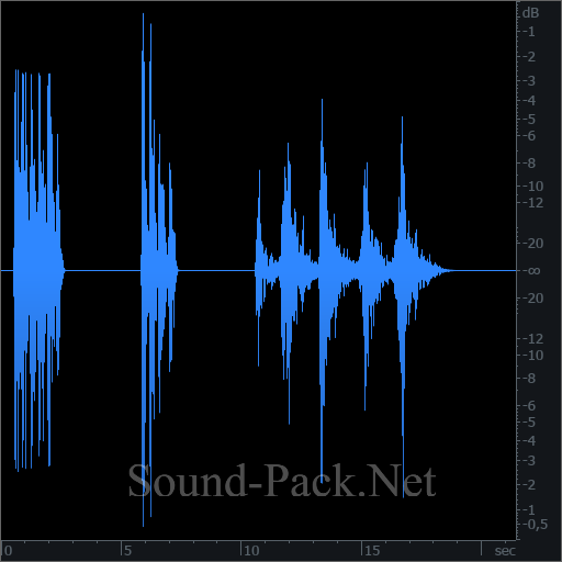 waveform