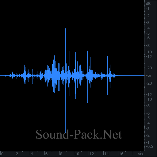 waveform