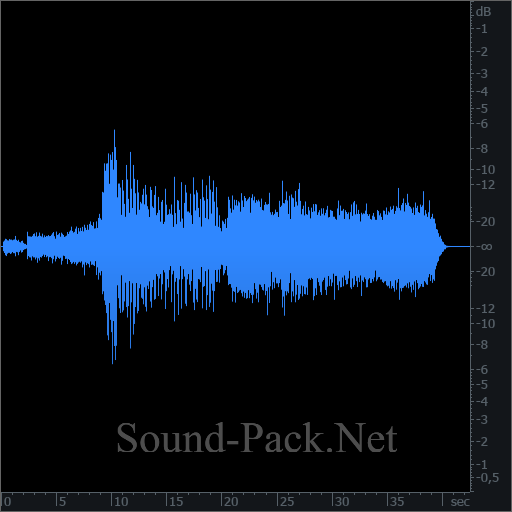 waveform