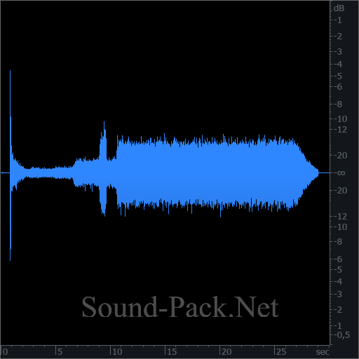 waveform