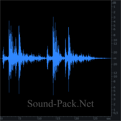 waveform