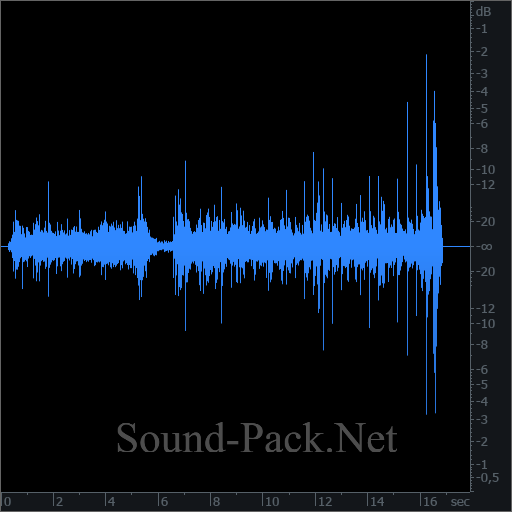 waveform