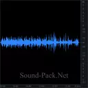 Атмосфера леса с пением птиц