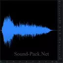 Гол, овации после гола