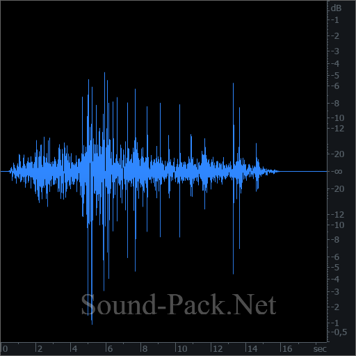 waveform