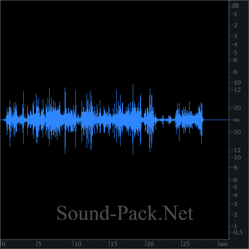 waveform