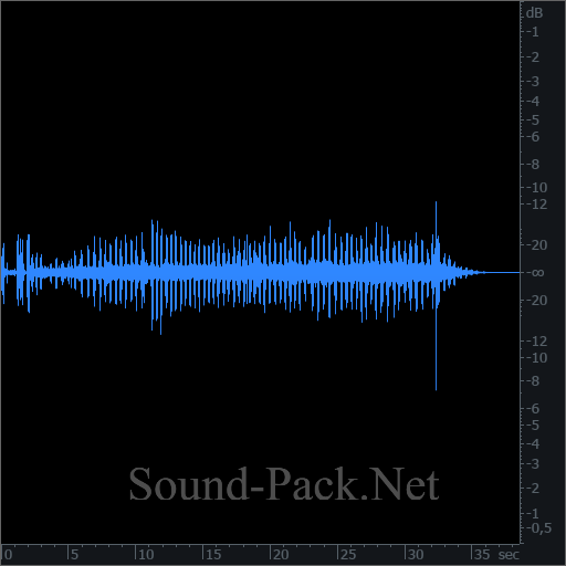 waveform