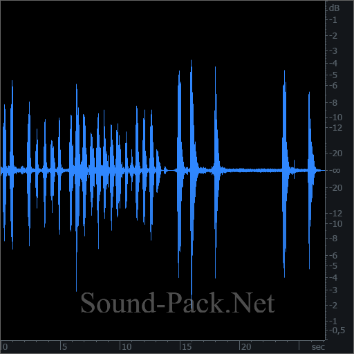 waveform