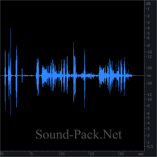 waveform