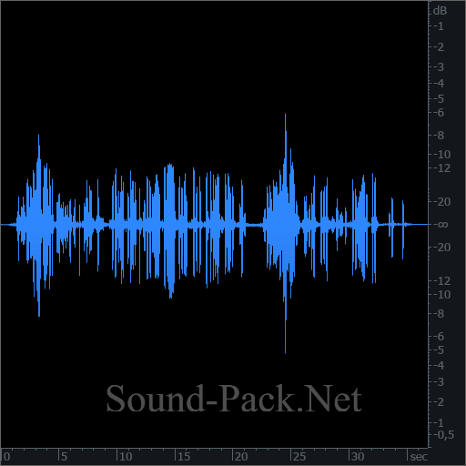 waveform