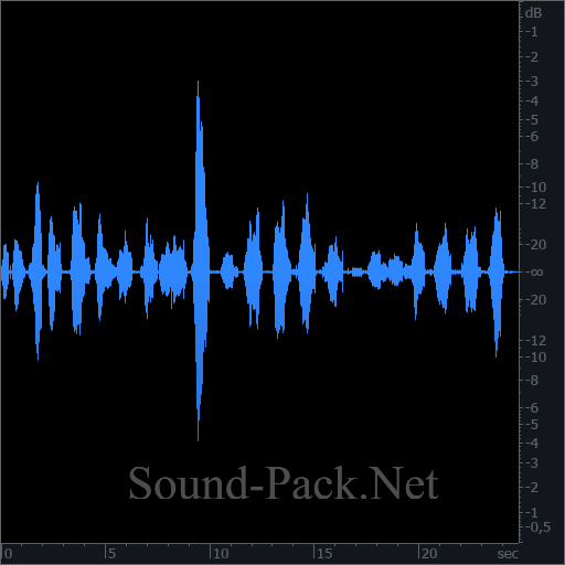 waveform