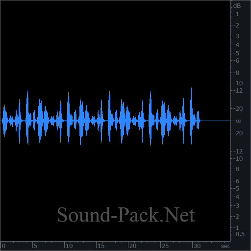 waveform