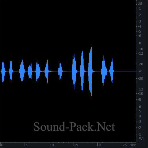 waveform