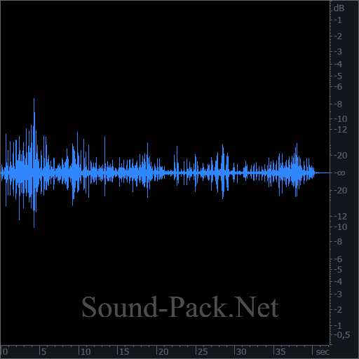 waveform