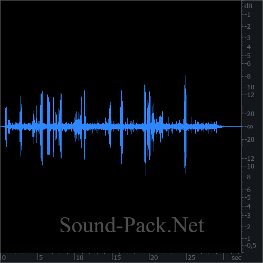 waveform