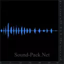 Кошка зазывает кота