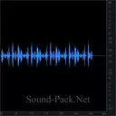 Котята мяукают, визжат