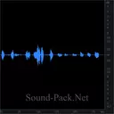 Кошка шипит и кричит