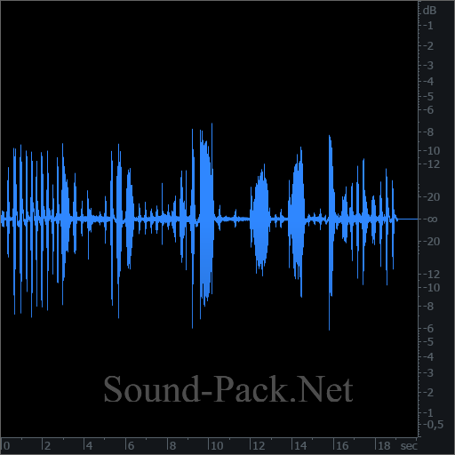 waveform