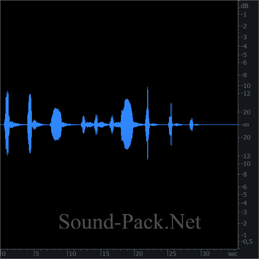 waveform