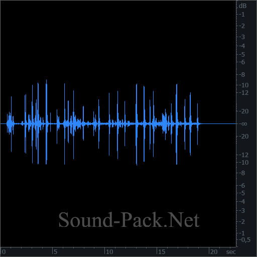 waveform