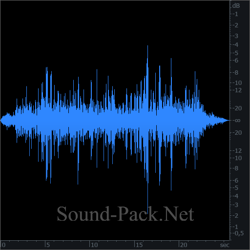 waveform