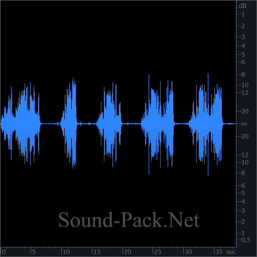 waveform