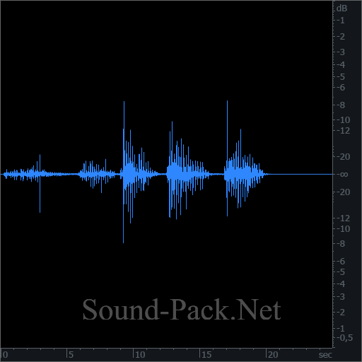 waveform