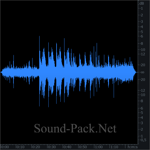 waveform