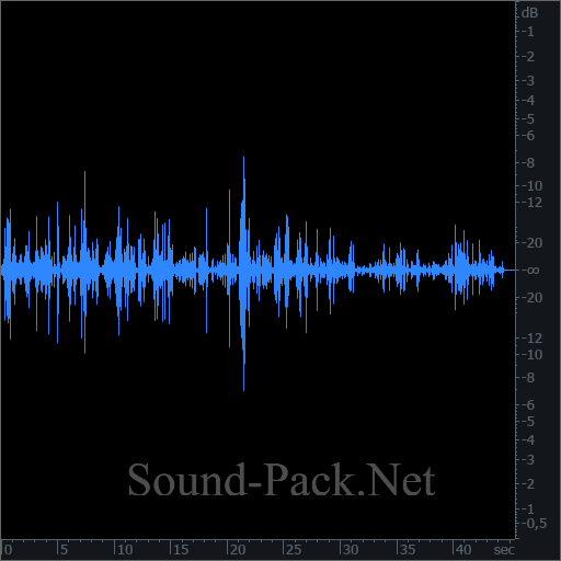 waveform