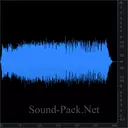 Выкрики и возгласы "Браво, Бис!"