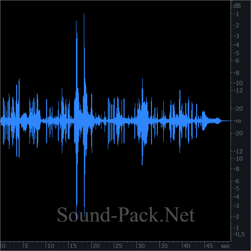 waveform