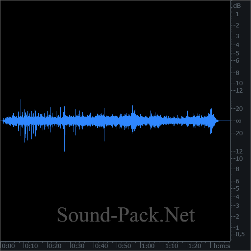 waveform