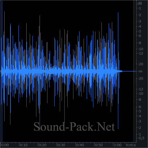 waveform