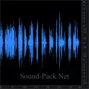 Переговоры полицейских по рации